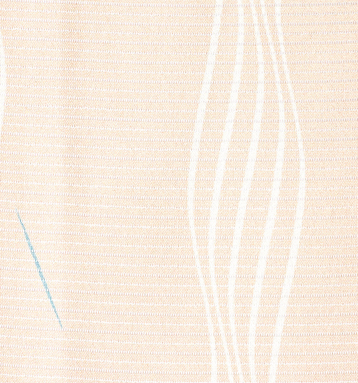 【着物単品】夏小紋 No.5ZH-0185-Sサイズ_05
