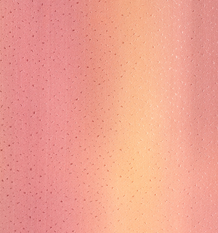 【着物単品】単衣小紋 No.5ZH-0211-SSサイズ_05