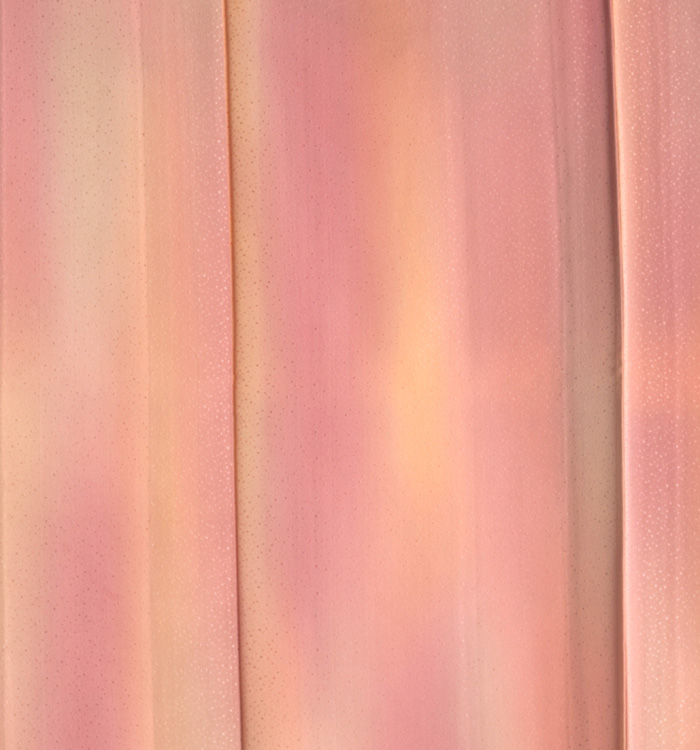 【着物単品】単衣小紋 No.5ZH-0211-SSサイズ_03