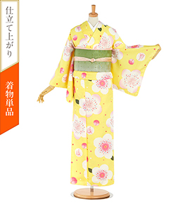 仕立て上がり】小紋 すぐに着られる洗える着物 Mサイズ No.5ZH-0620-02