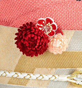 帯クリップ No.5ZL-0078-00