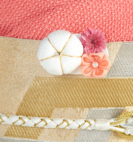 帯クリップ No.5ZL-0081-10