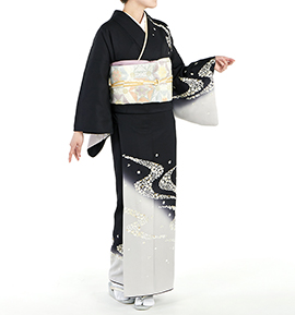 訪問着の人気・おすすめ商品一覧｜着物レンタル・通販【きもの365】