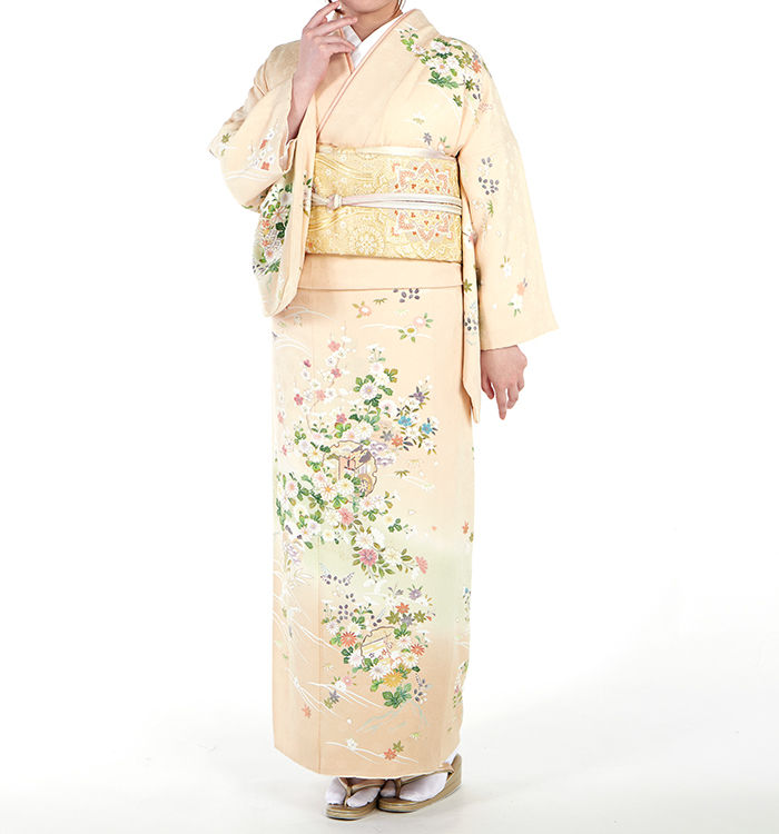 訪問着 No.AA-0662-ワイド-MOサイズ