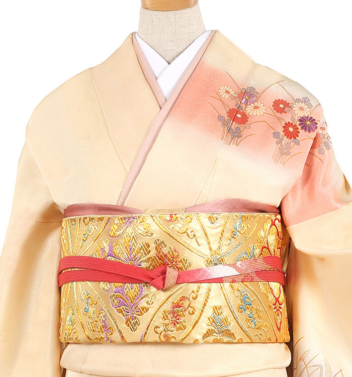 訪問着 No.AA-1101-Mサイズ_01