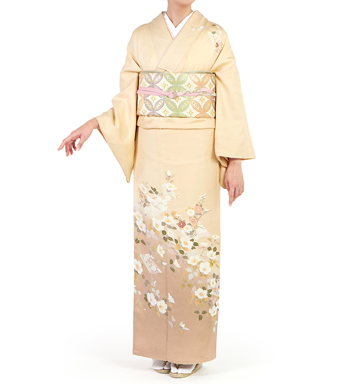 訪問着 No.AA-1362-Mサイズ