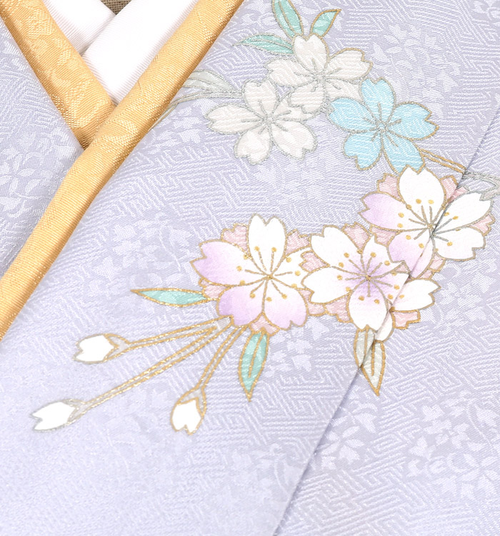 訪問着 No.AA-2222-Mサイズのレンタル｜きもの365