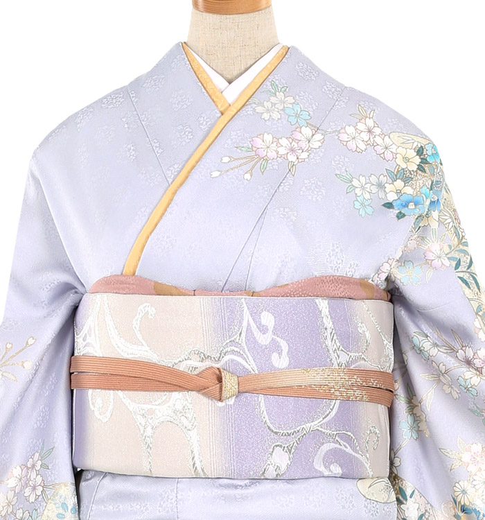 訪問着 No.AA-2222-Mサイズのレンタル｜きもの365