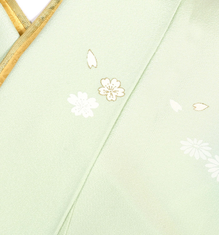 【帯・逸品】訪問着 No.AA-2339-Mサイズ_06