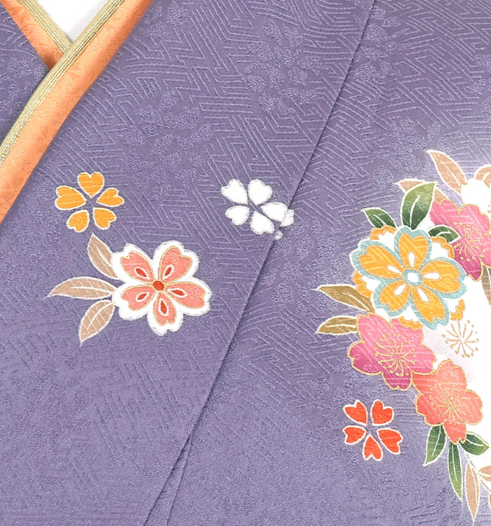 【帯・逸品】訪問着 No.AA-2342-Mサイズ_06