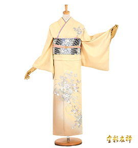 訪問着レンタル 商品一覧｜格安の人気・おすすめ着物セットなら