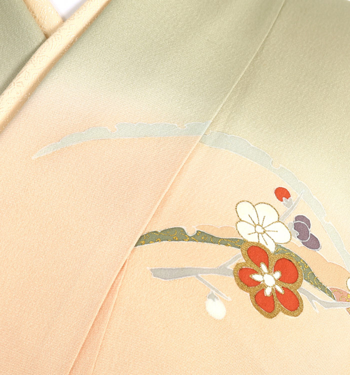 訪問着 No.AA-2450-Mサイズ_06