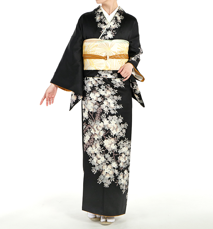 訪問着 No.AA-2451-Mサイズのレンタル｜きもの365