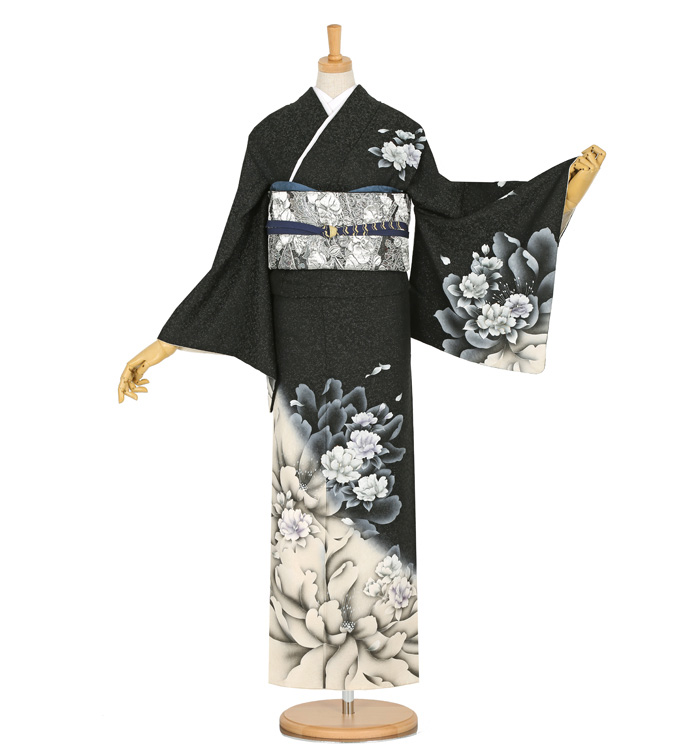 訪問着 訪問着 No.AA-2540-Lサイズのレンタル｜きもの365