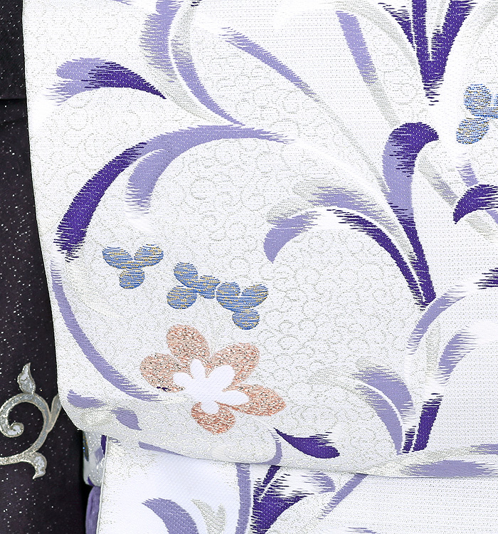 芸能人着用柄 訪問着 No.AA-2547-Mサイズ_08