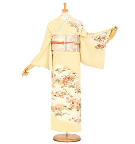 訪問着 No.AA-2652-Mサイズ