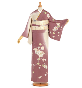 芸能人着用柄 訪問着 No.AA-2655-Mサイズ