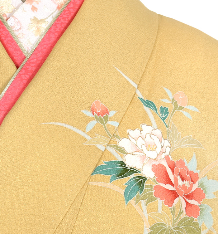 訪問着(専用襦袢付)No.AA-2679-Mサイズ_06