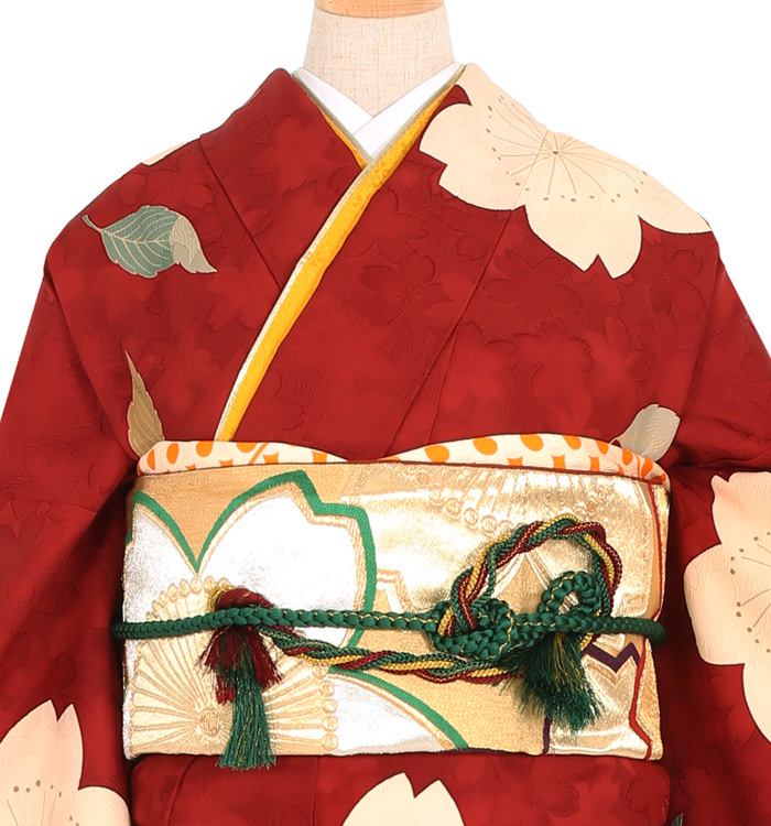 訪問着 No.AA-2711-Mサイズのレンタル｜きもの365