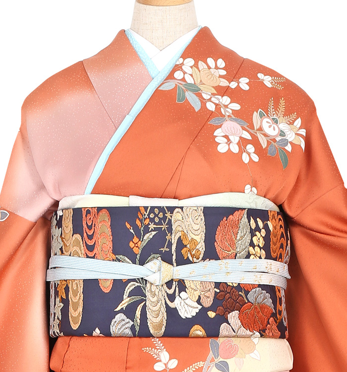 訪問着 No.AA-2737-Sサイズのレンタル｜きもの365