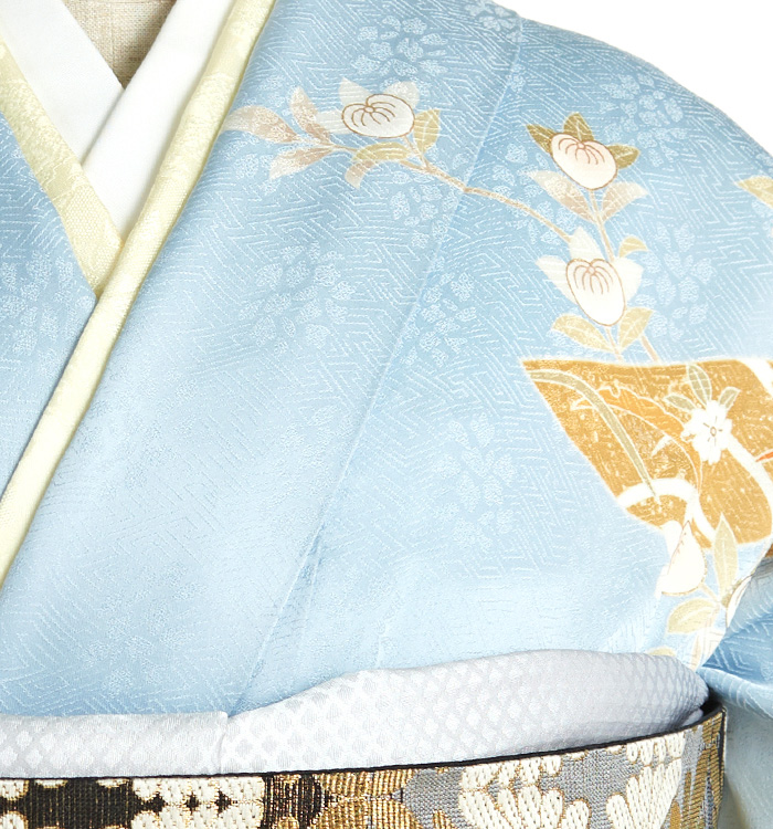 訪問着 No.AA-2770-Lサイズのレンタル｜きもの365