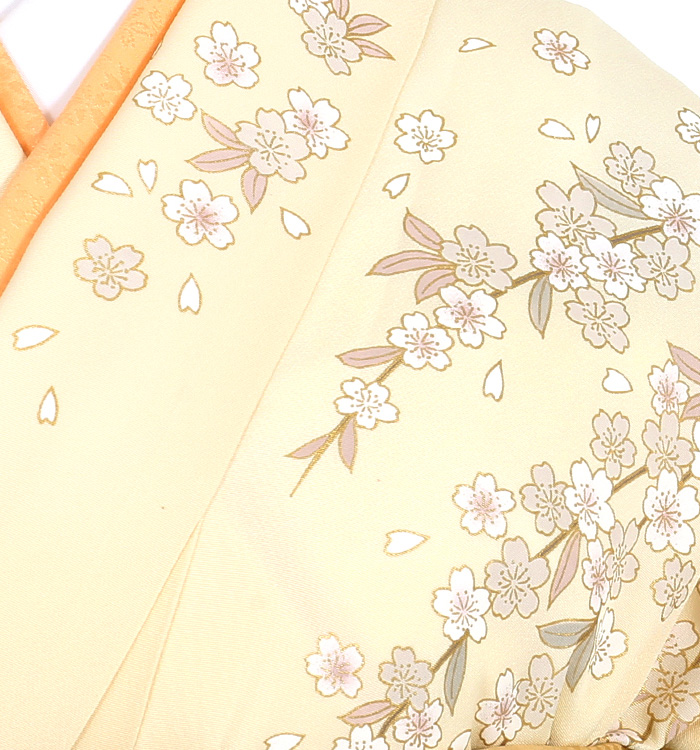 訪問着 No.AA-2783-Mサイズ_06