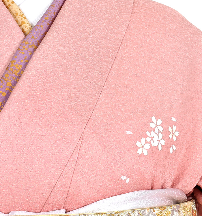 訪問着 No.AA-4812-Mサイズ_06