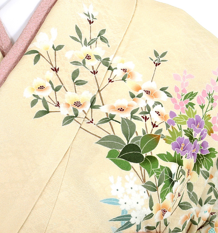 訪問着 No.AA-2904-Mサイズ_06