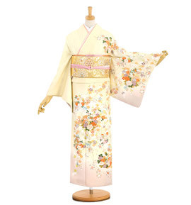 訪問着 No.AA-2925-Mサイズ