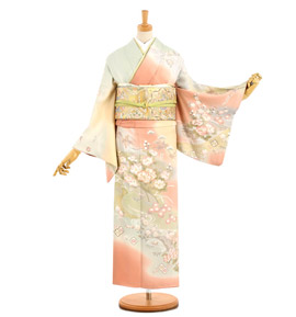 訪問着 No.AA-2953-Sサイズ