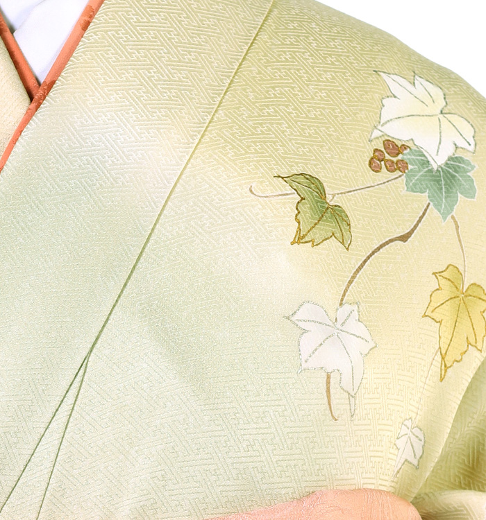 mami✺新品 正絹 洛遊庵 Rakuyuan ちりめん 小紋 A3616 三宝庵】ちりめん山椒 笹ちりめん（70g×3袋） - 京都府京都市