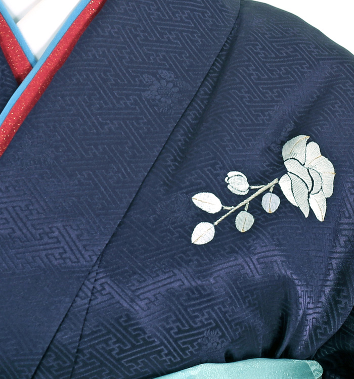総刺繍 訪問着 No.AA-3009-Lサイズのレンタル｜きもの365