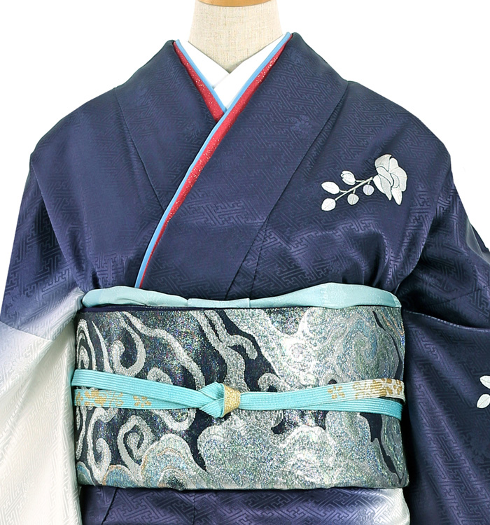 総刺繍 訪問着 No.AA-3009-Lサイズのレンタル｜きもの365