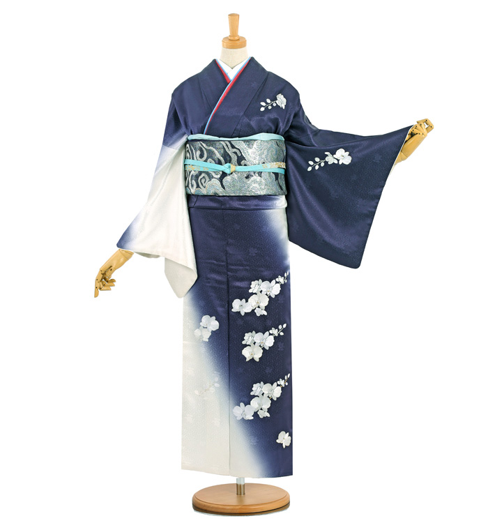 総刺繍 訪問着 No.AA-3009-Lサイズのレンタル｜きもの365