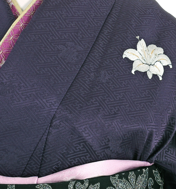 総刺繍 訪問着 No.AA-3015-Lサイズのレンタル｜きもの365