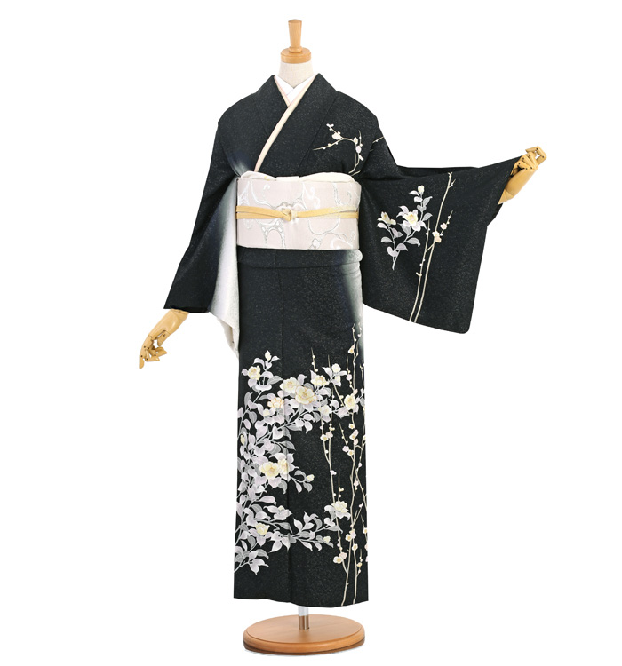 訪問着 No.AA-3025-Mサイズのレンタル｜きもの365