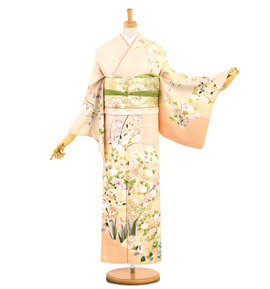 訪問着 No.AA-3051-Mサイズ