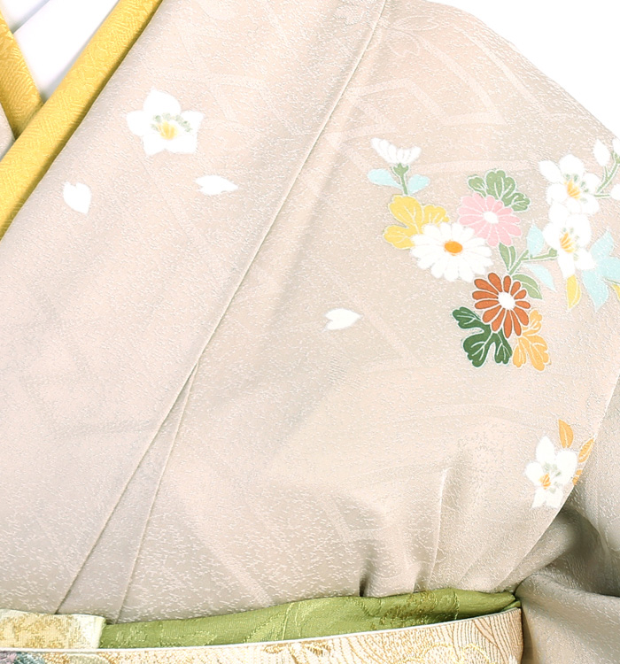 訪問着 No.AA-3056-Mサイズのレンタル｜きもの365