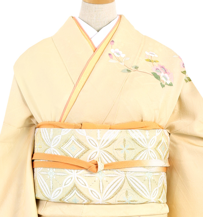 訪問着 No.AA-3062-Mサイズ_01