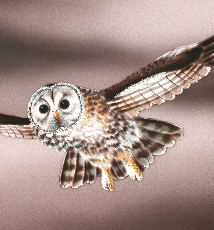 訪問着 No.AA-4830-Lサイズ_07