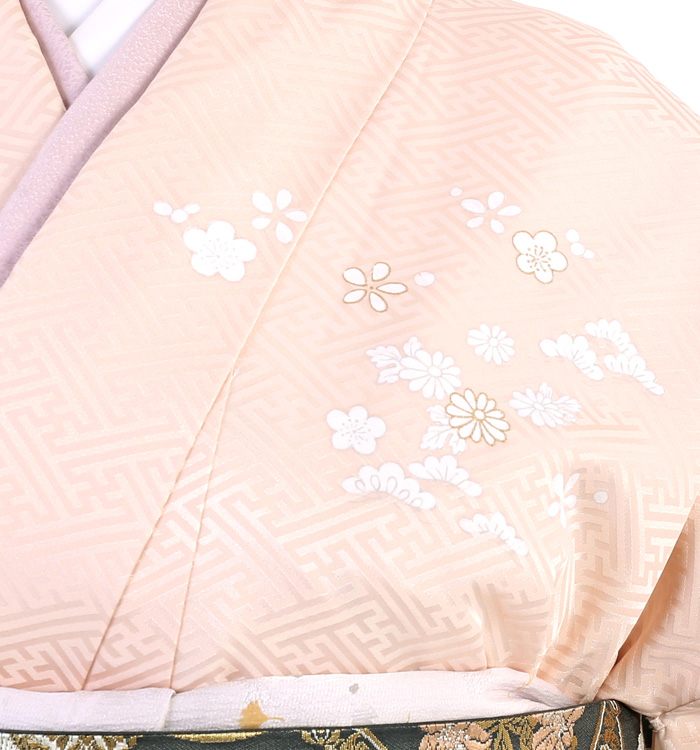 訪問着 No.AA-3217-Mサイズ_06