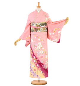 訪問着 No.AA-3245-Lサイズ