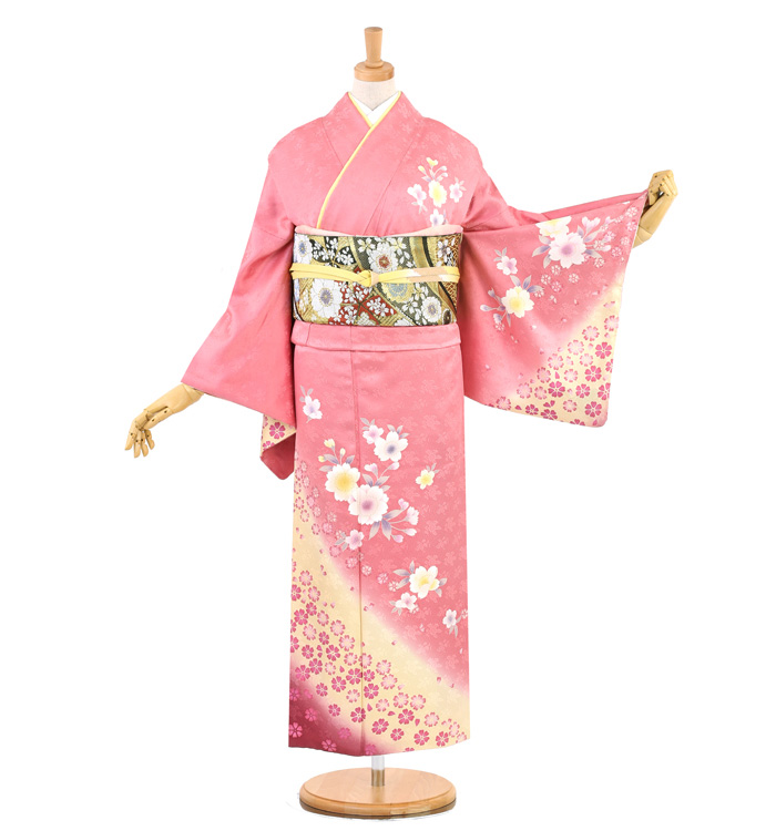 訪問着 No.AA-3252-Mサイズのレンタル｜きもの365