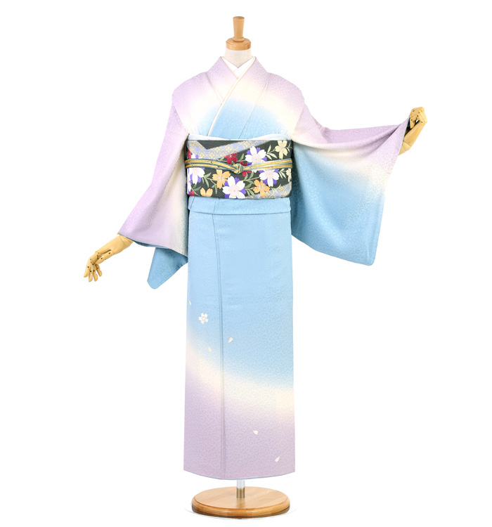 訪問着 No.AA-3253-Mサイズのレンタル｜きもの365