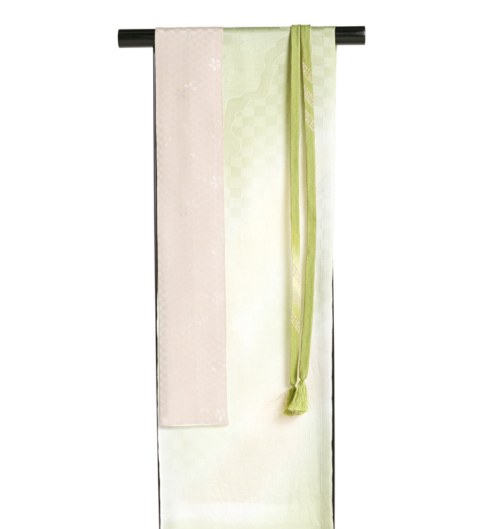 芸能人着用柄 訪問着 No.AA-3302-Mサイズ_05