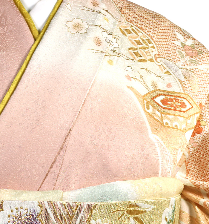 訪問着 No.AA-3483-Mサイズのレンタル｜きもの365