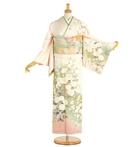 訪問着 No.AA-3721-Sサイズ