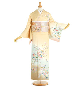 訪問着 No.AA-3873-Mサイズ