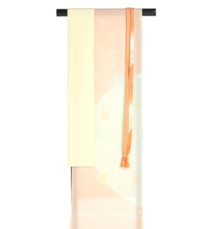 訪問着 No.AA-4116-Lサイズのレンタル｜きもの365