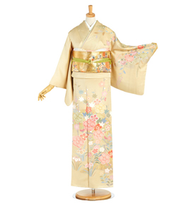 訪問着 No.AA-4247-Mサイズ